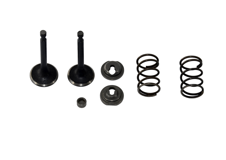Kit de Válvulas Motor FT-168F 5.5HP
