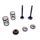 Kit de Válvulas Desbrozadora Honda GX35