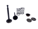 Kit de Válvulas Desbrozadora Honda GX35