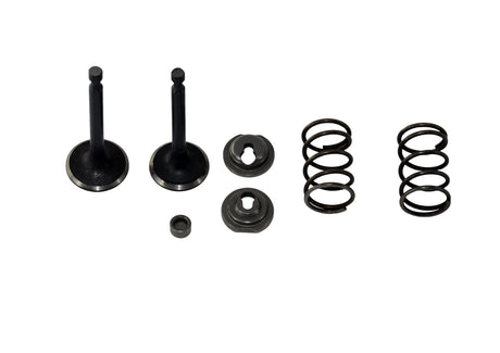 Kit de Válvulas Motor FT-168F 5.5HP