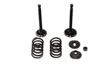 Kit de Válvulas Motor FT-177F 9HP