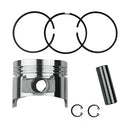 Pistón Completo Standard 192F