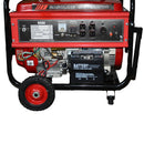 Generador eléctrico monofásico 3000W 110/220V